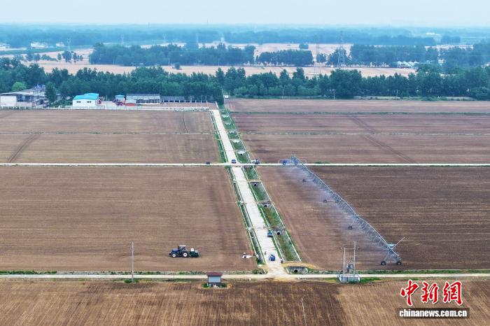 深入解读2026世界杯：赛事前瞻与球队分析。 - MK体育